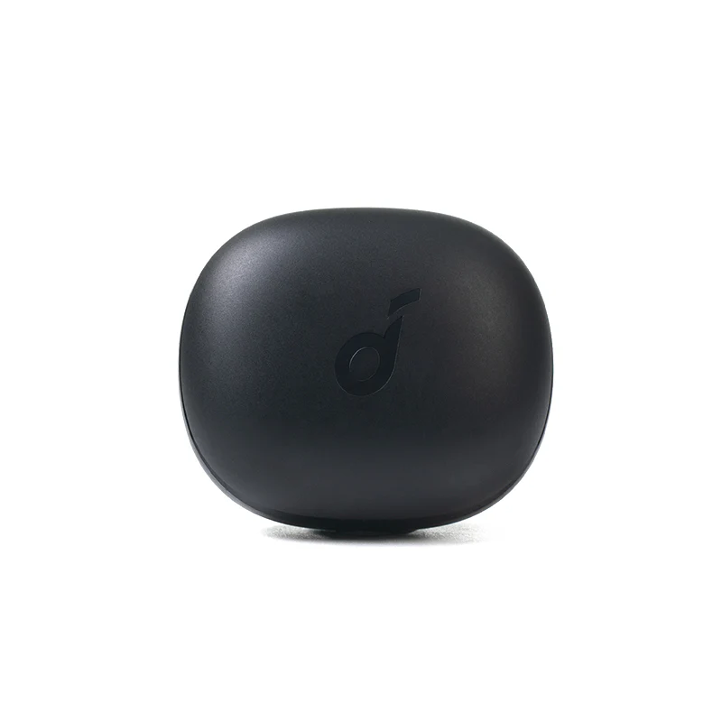 P3 Earbuds Ladecase - Schwarz - Image 2