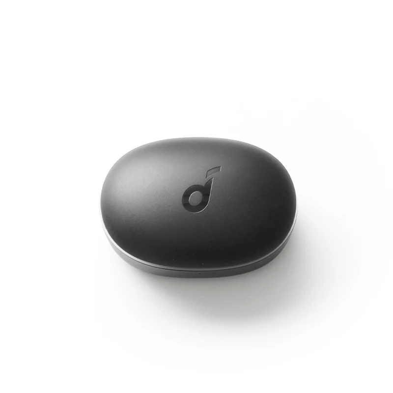 soundcore P2 Mini Ladecase - Schwarz