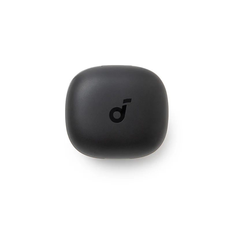 soundcore P20i Ladecase